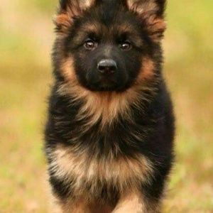 Meet your Posher, Gage